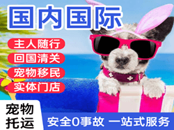 福州长乐航空货运国际宠物托运 【国